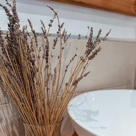 Domo Amsicora - - By Faendho